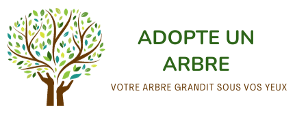 Adopte un arbre